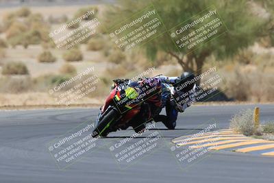 media/May-14-2023-SoCal Trackdays (Sun) [[024eb53b40]]/Turn 5 Tree of Life (1125am)/